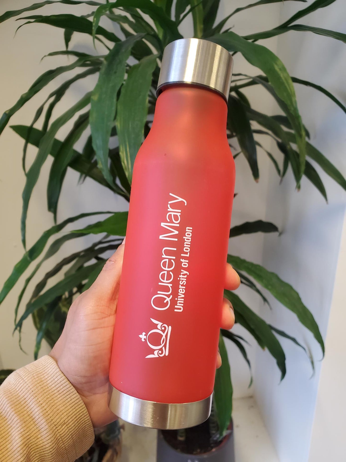 QMUL FROSTED WATER BOTTLE