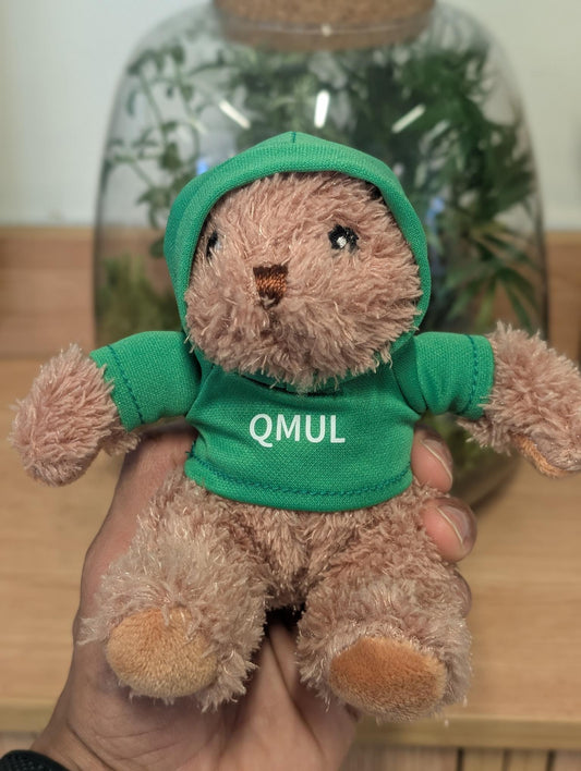 QMUL HOODIE BEAR