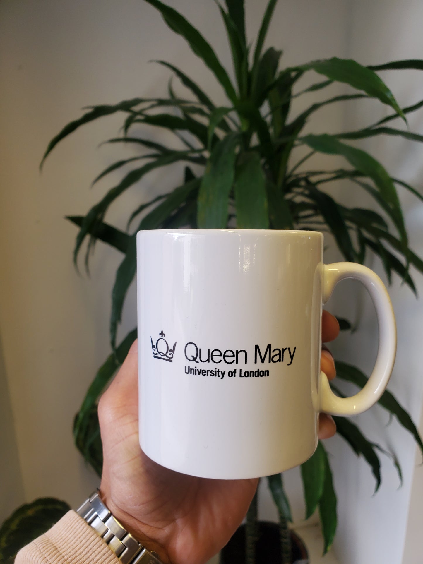 QMUL MUG