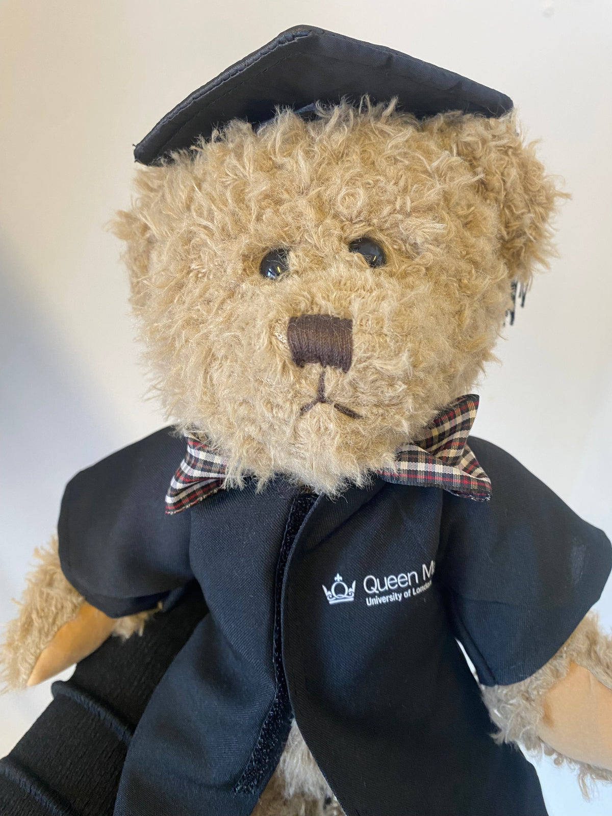 QMUL WINDSOR GREY GRADUATION BEAR