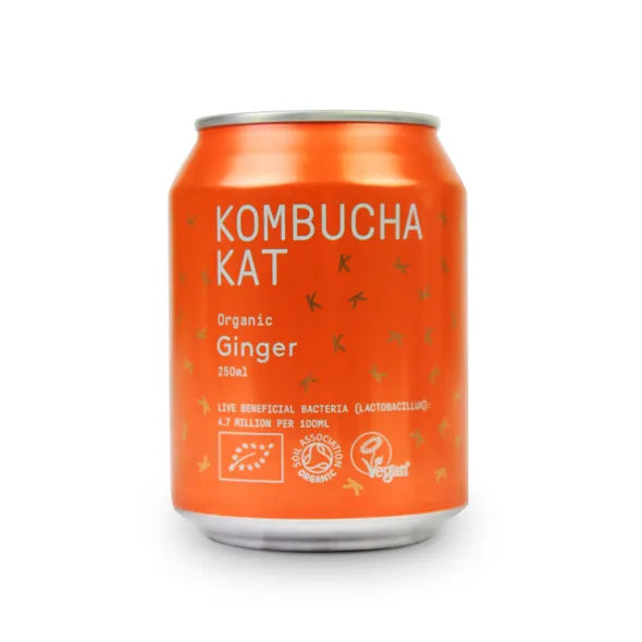 Kombucha Kat Ginger